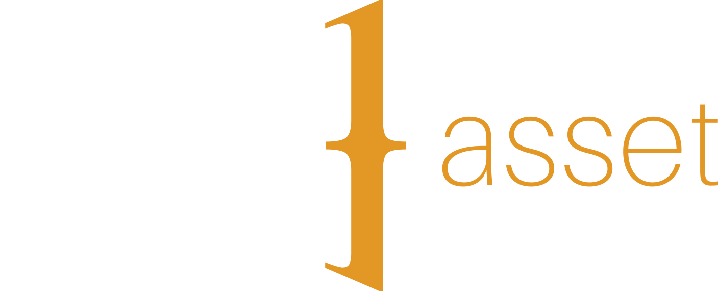 ONE asset logo